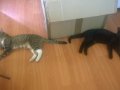 WP_20150710_007.jpg